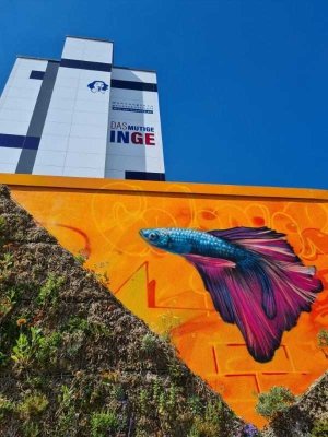 Doppelt gut - ebenerdiger Aufzug und frisch saniert ab Februar 2026