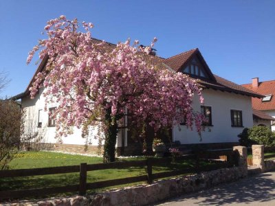 Moderne, helle und großzügige Studio-Wohnung in Fensterbach OT: Wolfring