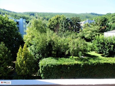 Geräumige Loggia-Wohnung mit schönem Grünblick