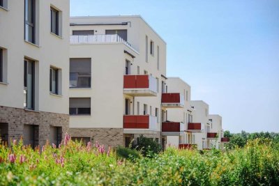 Eigene Terrasse ! Toll geschnittene 2 Zimmer-Wohnung // EG  Whg.3