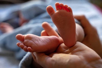 Auf Babyfüßchen zur Familienoase: Das perfekte Familienhaus-Projekt mit Bien-Zenker!