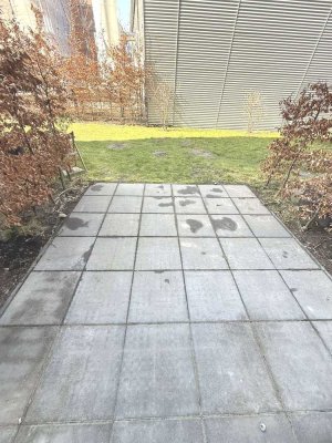 Offene BESICHTIGUNG am Freitag 8.5.26 um 18 : 30 Uhr: Schöne & helle 3 Zi.-Terrassenwohnung