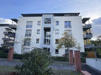 MIT TERRASSE UND GARTENANTEIL  - schöne 3 Zimmer Wohnung - Nähe Elbwiesen und Uniklinik