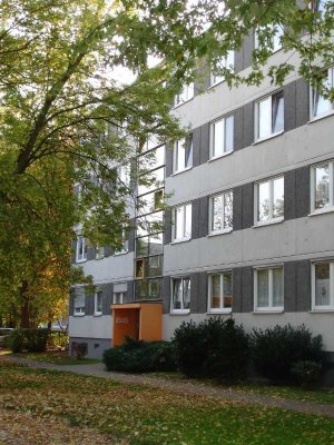 3 Zimmer-Wohnung für die kleine Familie