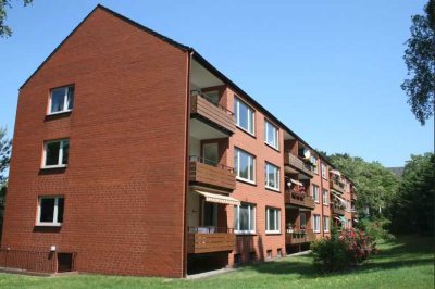 Charmante 3-Zimmer Wohnung mit Südbalkon und Blick über die Dächer von Hitzacker (Elbe) -von privat-