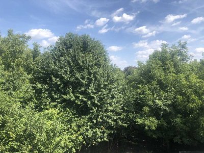 2-Zimmer-Dachgeschosswohnung mit Blick ins Grüne