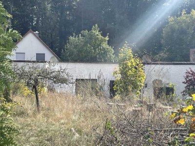 Tag der offenen Tür 9 Uhr Sonntag: Bungalow auf 420m2 Grundstück in Waldnähe zu verkaufen