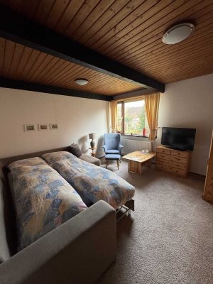 Möblierte 1-Zimmer Wohnung in Leer mit Einbauküche