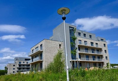 [WE 2.02  •  EG  •  Typ 2] großzügige 3-Zimmer Wohnung mit Blick in den Hof