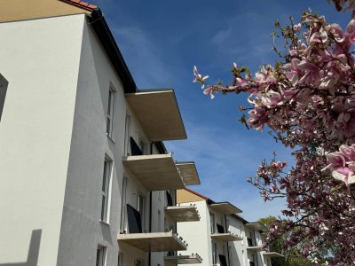 2 Zimmer Eigentumswohnung (48,59m²) mit sonnigem Balkon in LIEBOCH bei Graz