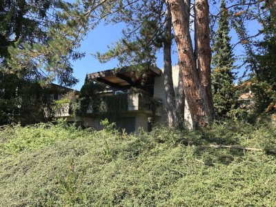 Großzügiges Wohnhaus mit Einliegerwohnung - ruhige Lage auf Eckgrundstück