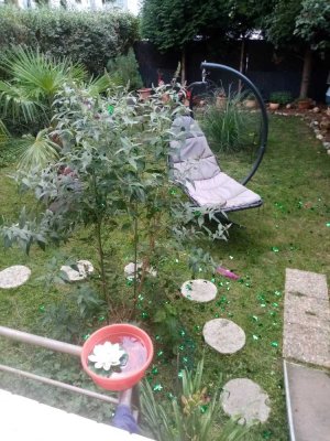 3 Zi EG Whg. 77m2 mit eigenem Garten ca.100m2 und Stellplatz-provisionsfrei in Leverkusen-Opladen