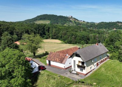 ** Geschmackvolles Zweifamilienwohnhaus - ca. 1,9ha LW-Fläche mit Wald ** unvergleichbarer Panoramablick auf Schloss Kapfenstein und das steirische Hügelland **