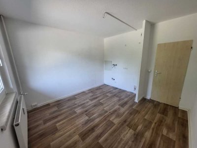 1-Raumwohnung im schönen Rodleben