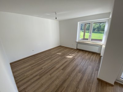 neu renovierte, freundliche Wohnung in ruhiger Wohnlage