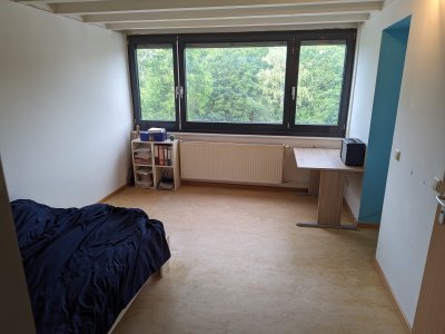 30m² Wohnung in Mainz-Hartenberg, ruhige Lage in Uninähe 1 Zimmer plus Küche und Bad
