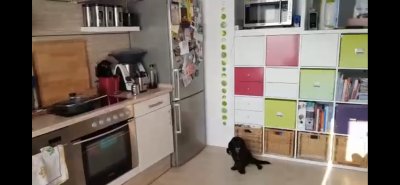 2-Zimmer Wohnung Stadtmitte Dieburg