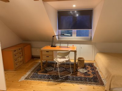 1 1/2 Zimmer Dachgeschoss-Apartment, möbliert sucht Single-Mitbewohner (Nichtraucher/ohne Tiere) ab 1. April 2026 gerne längerfristig