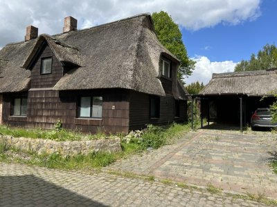 Familiengerechte Reetdachkate vor den Toren Kiels