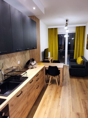 Sehr schöne 1,5-Zimmerwohnung in Ahaus mit EBK und Balkon- Ambrosiusstraße