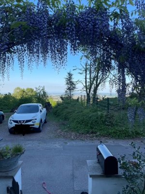 Wohnhaus für Ruhesuchende und Naturliebhaber zu vermieten