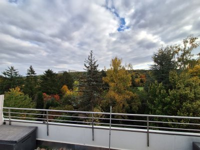 Helle und ruhige 1,5 Zimmer-Wohnung direkt am Naturschutzgebiet in S-Hoffeld, große Terrasse und separates Arbeitszimmer im Haus.