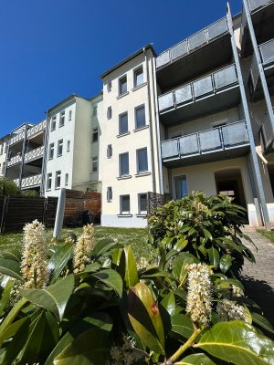 Erstklassige und großzügige 3 Raumwohnung mit großem Südbalkon, nahe Tierpark und Stadtwald
