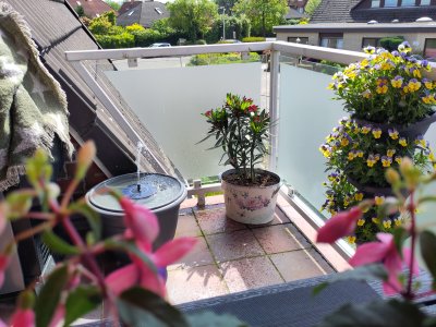 2 ZKB mit  sonnigen Balkon, Eigentumswohnung im 4 Parteienhaus