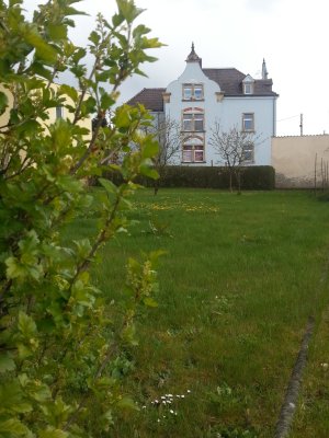 Erstbezug, großzügige Wohnung in Jugendstilvilla