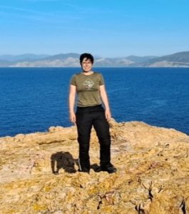 Mietgesuch Wiesbaden