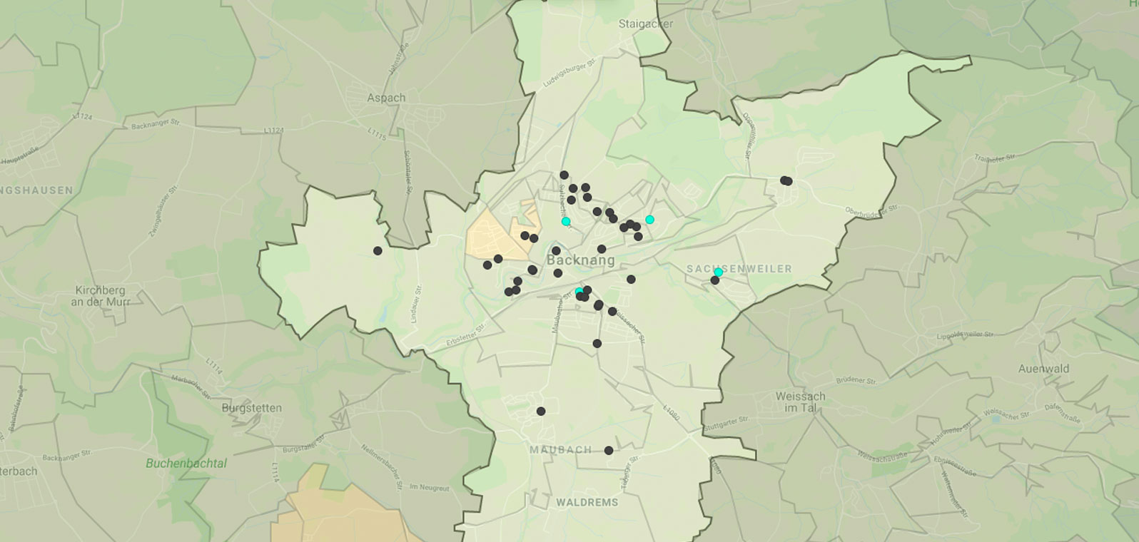 Mietspiegel Backnang 2024