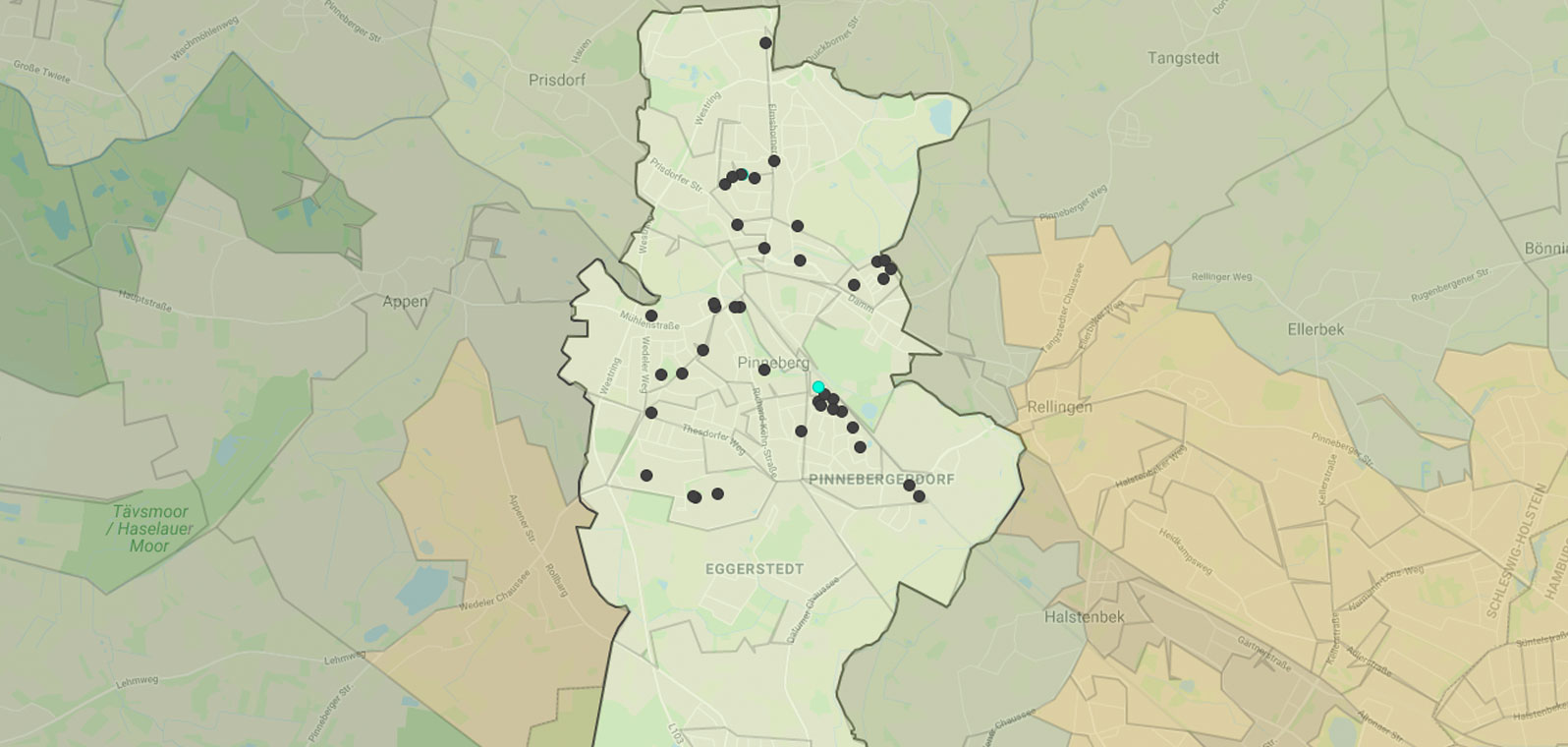 Mietspiegel Pinneberg 2024